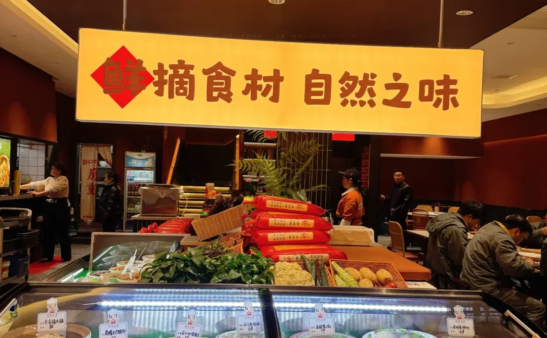 甲鱼喂鸡+肥肠钵！怀化这家常德菜绝了🥺