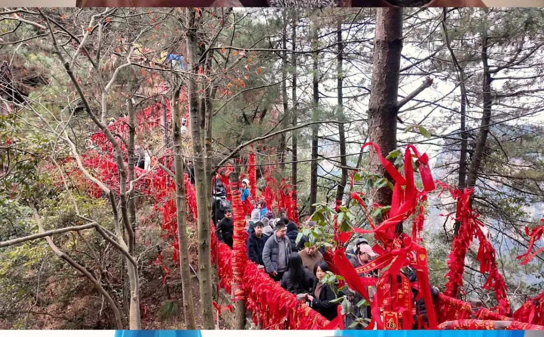 一些大疆拼格live图🧚🏻‍♀️📷📍张家界