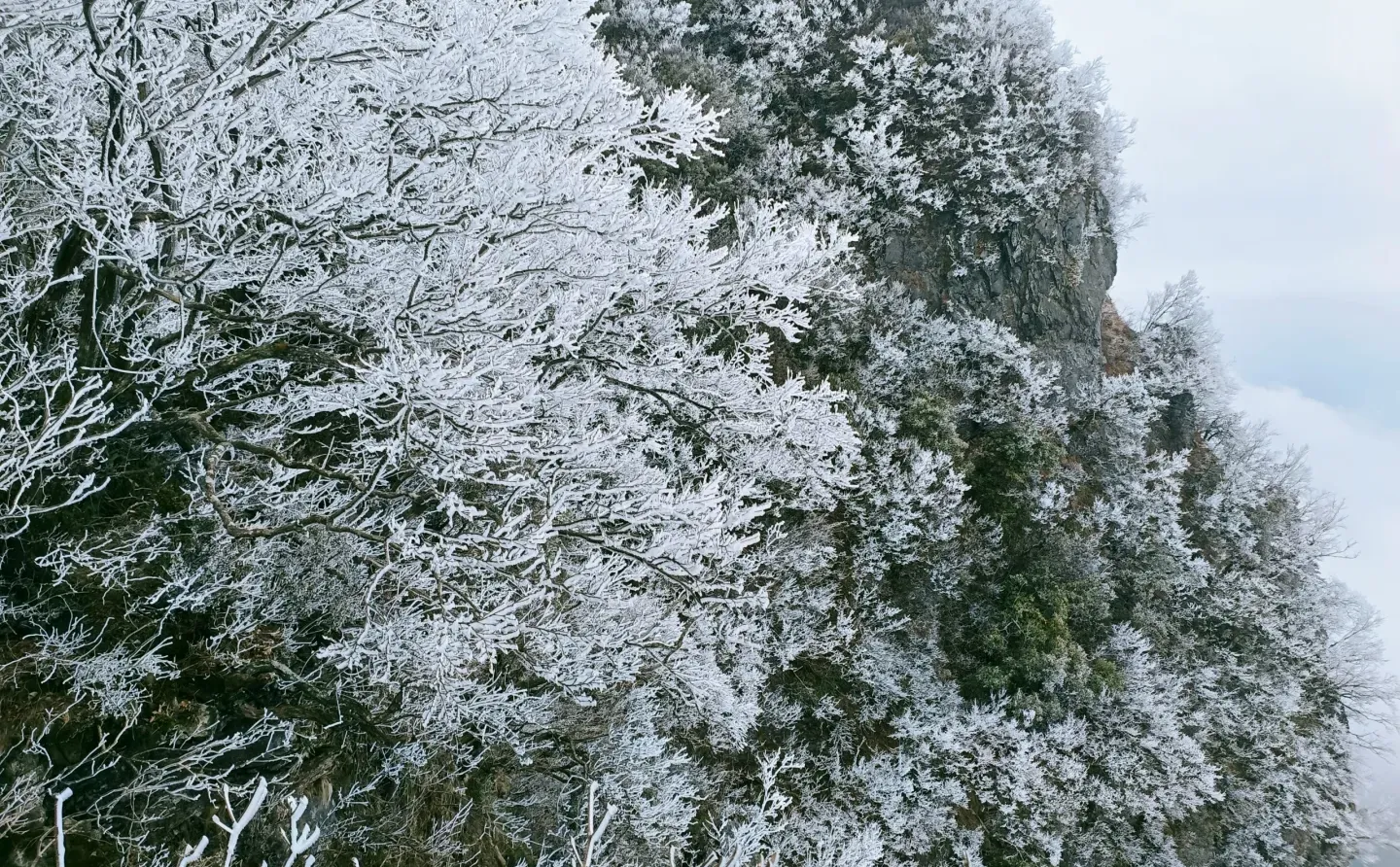 天门山今天有一点雾凇