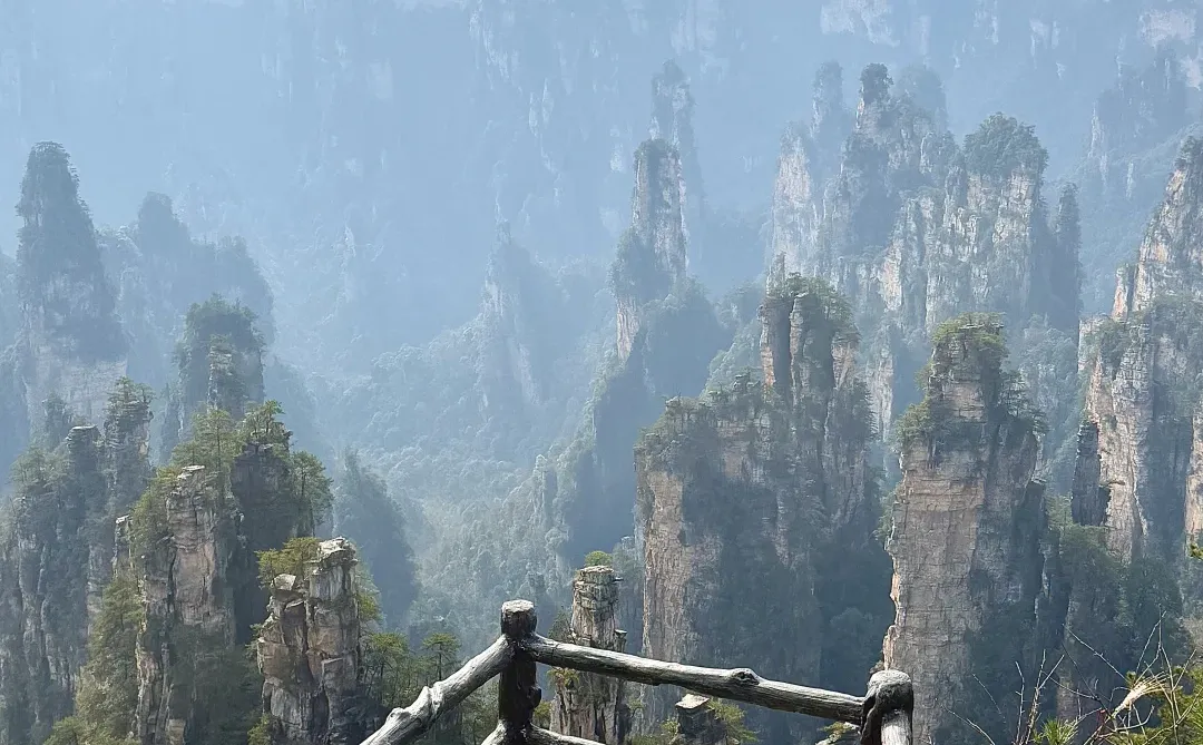 📍𝐙𝐡𝐚𝐧𝐠 𝐉𝐢𝐚 𝐉𝐢𝐞