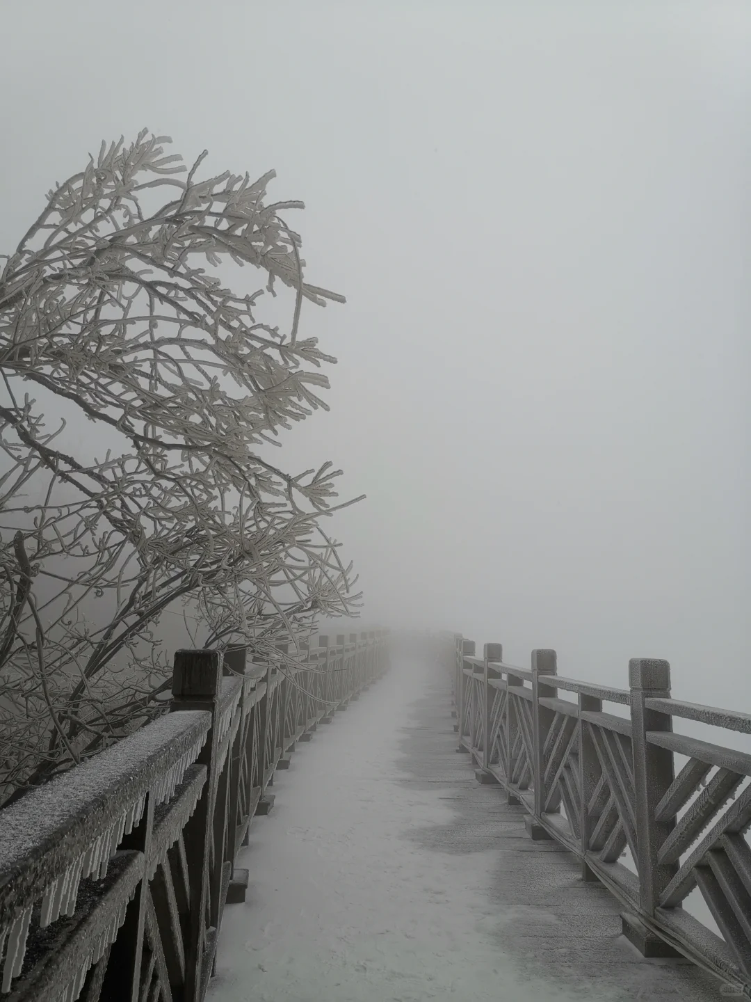 今年三月的天门山