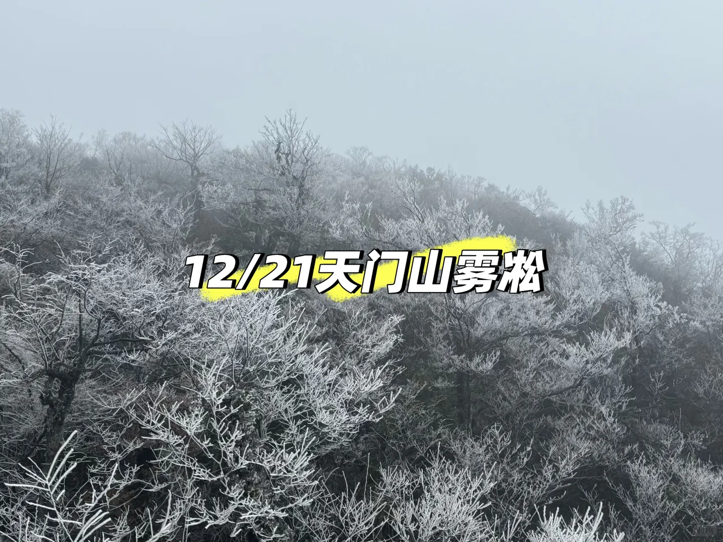 要来张家界看雾凇的宝子们 可以安排时间咯[