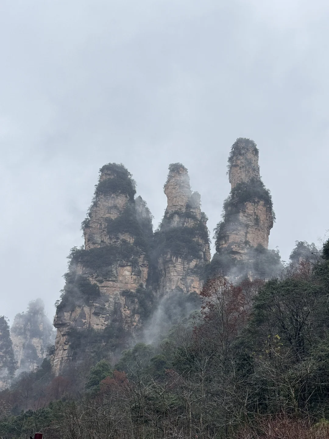 張家界國家森林公園#1