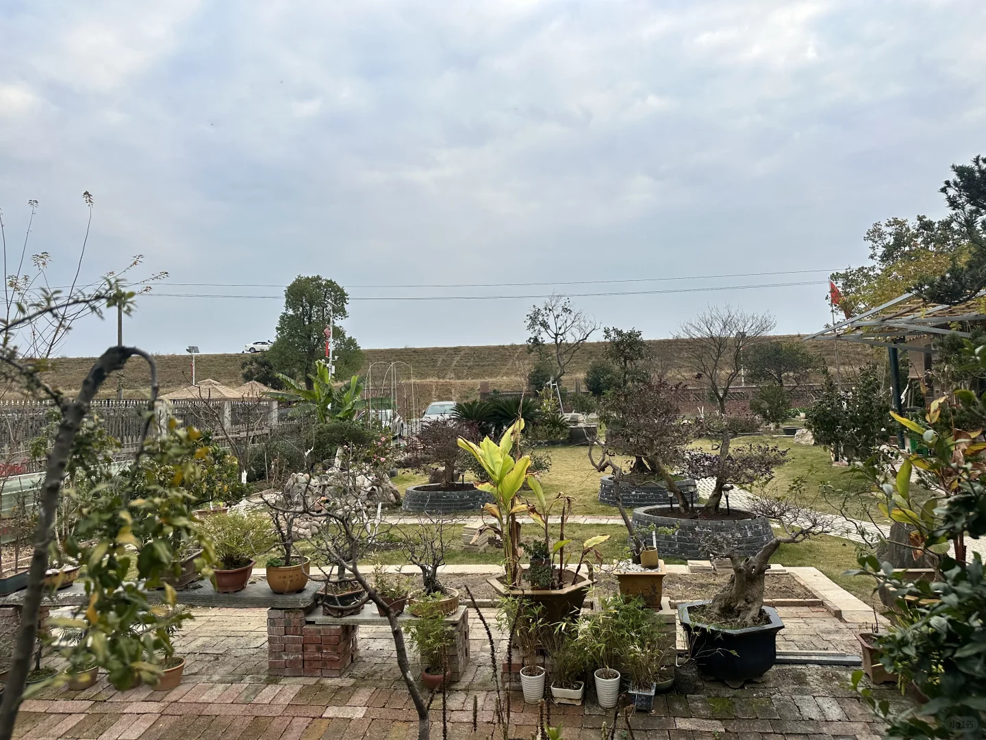 港青方日东常德考察丹州乡艺丹沅“乡间相见