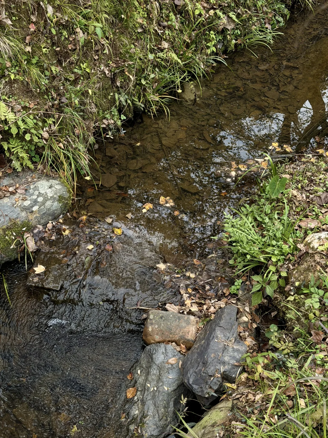 在常德/逃离城市 来世外桃源度过神仙周末🌳