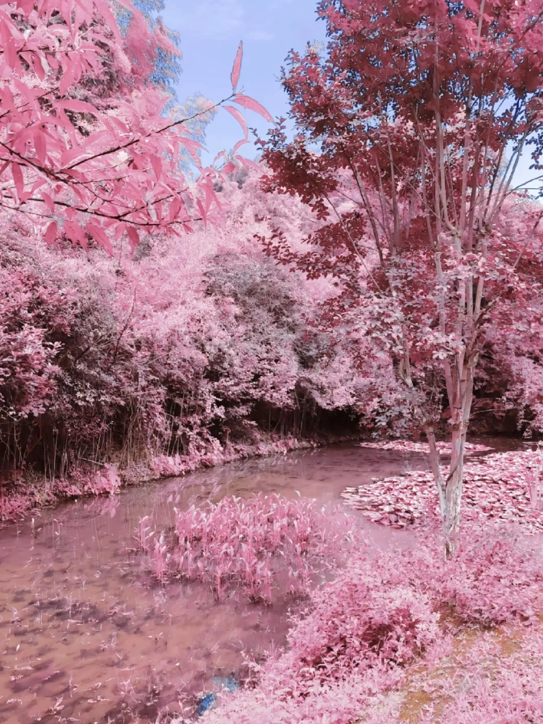 🌸长沙出发1h！常德桃花源小众秘境攻略