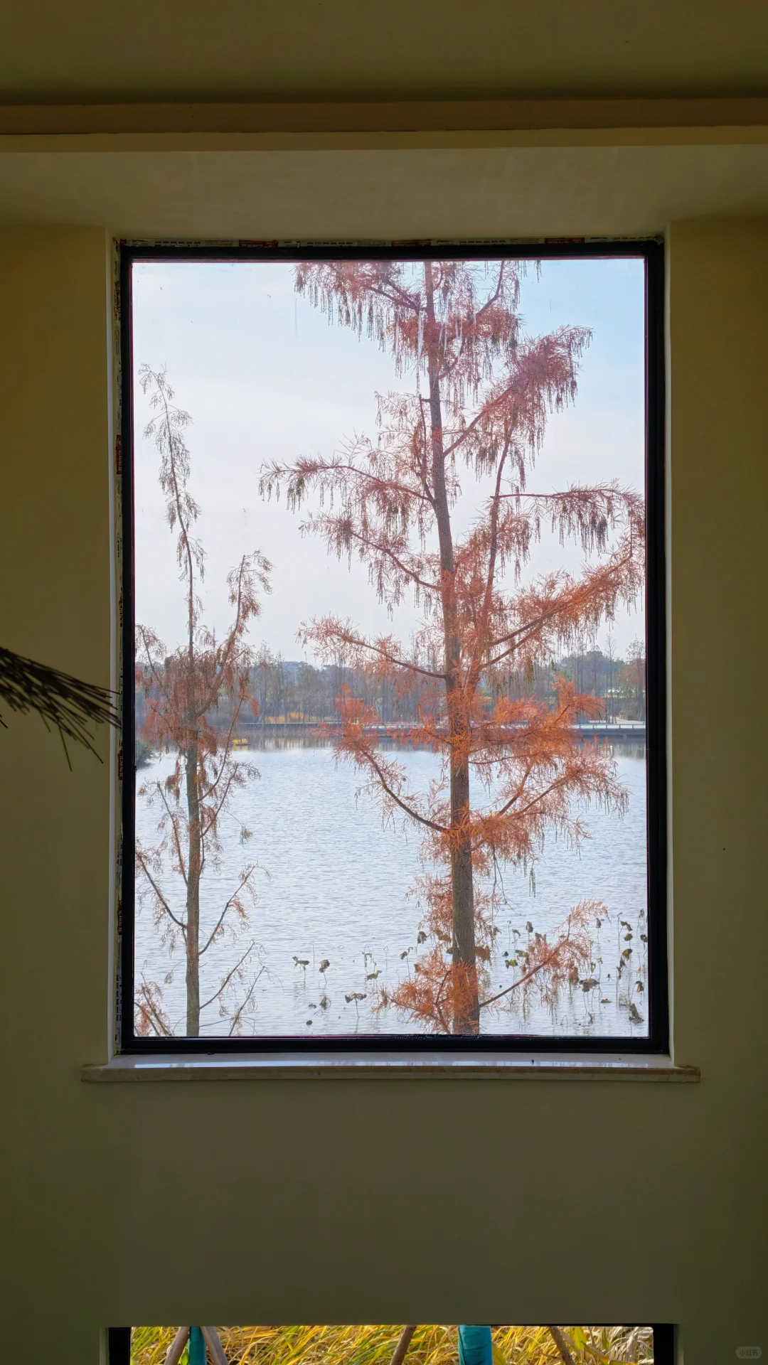 长沙周边度假丨躺平在独栋别墅看湖景听鸟叫