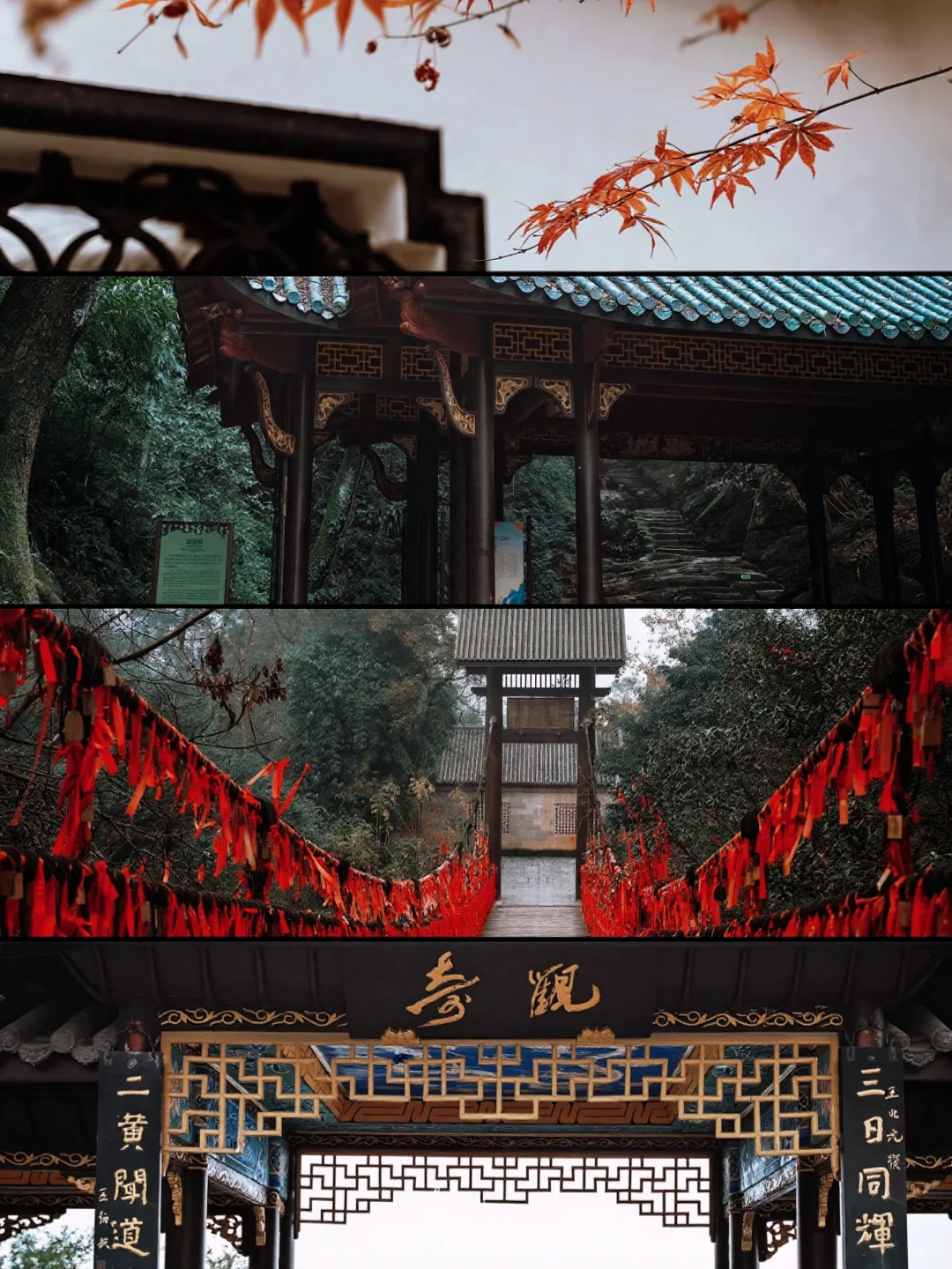 后悔没早点来！这次桃花源记我终于读懂了