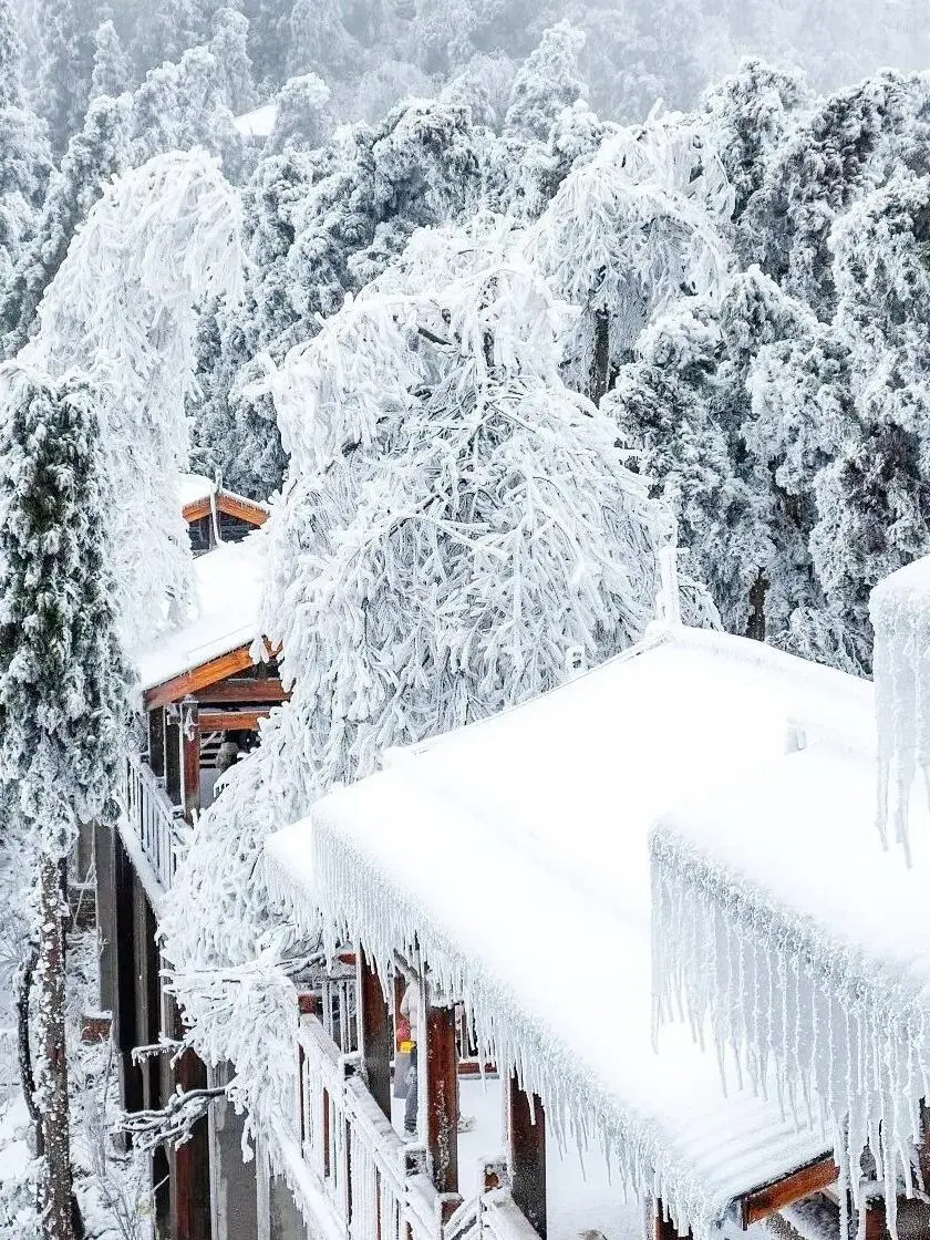 张家界12月-2月看雾凇一定要去