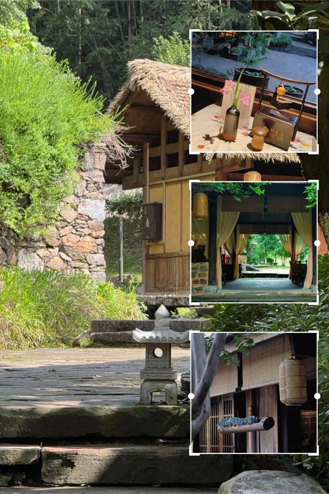 后悔没早点来！这次桃花源记我终于读懂了