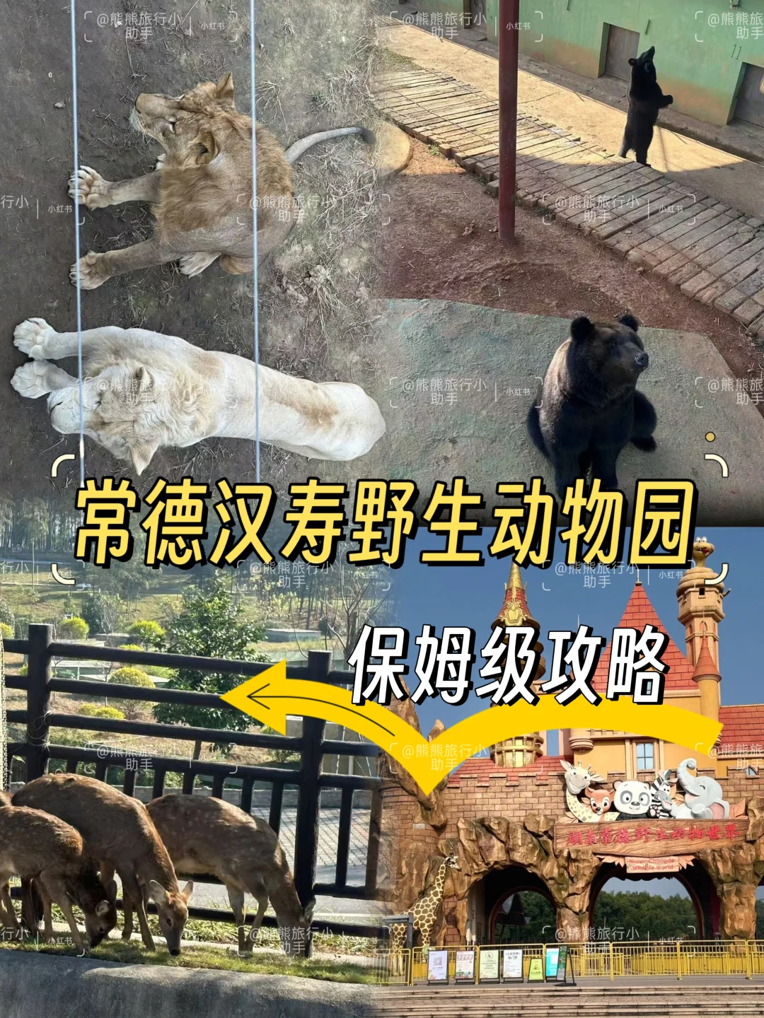 常德汉寿野生动物园游玩攻略，自由度满分！