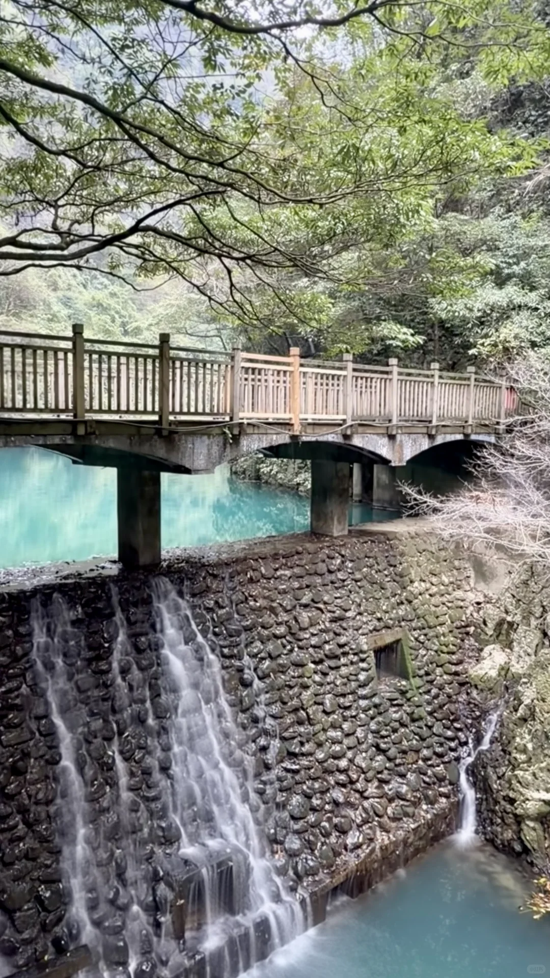 张家界的高山劝退“恐高症患者”