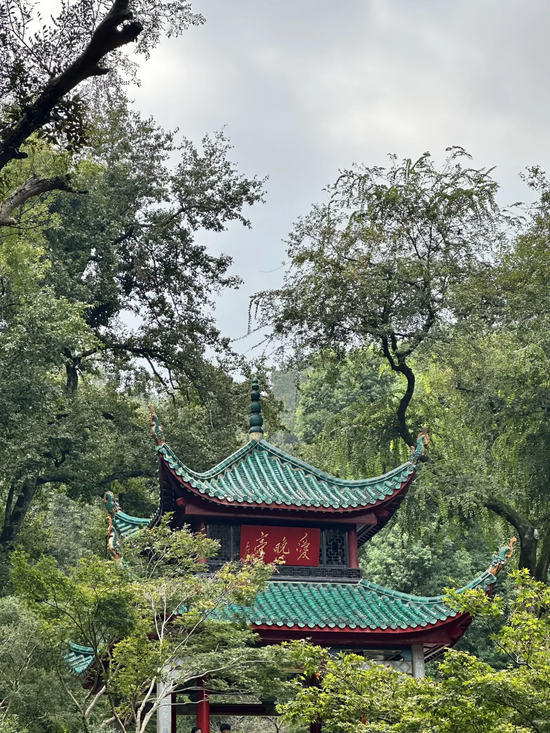 长沙三天两夜超全旅游攻略🍊