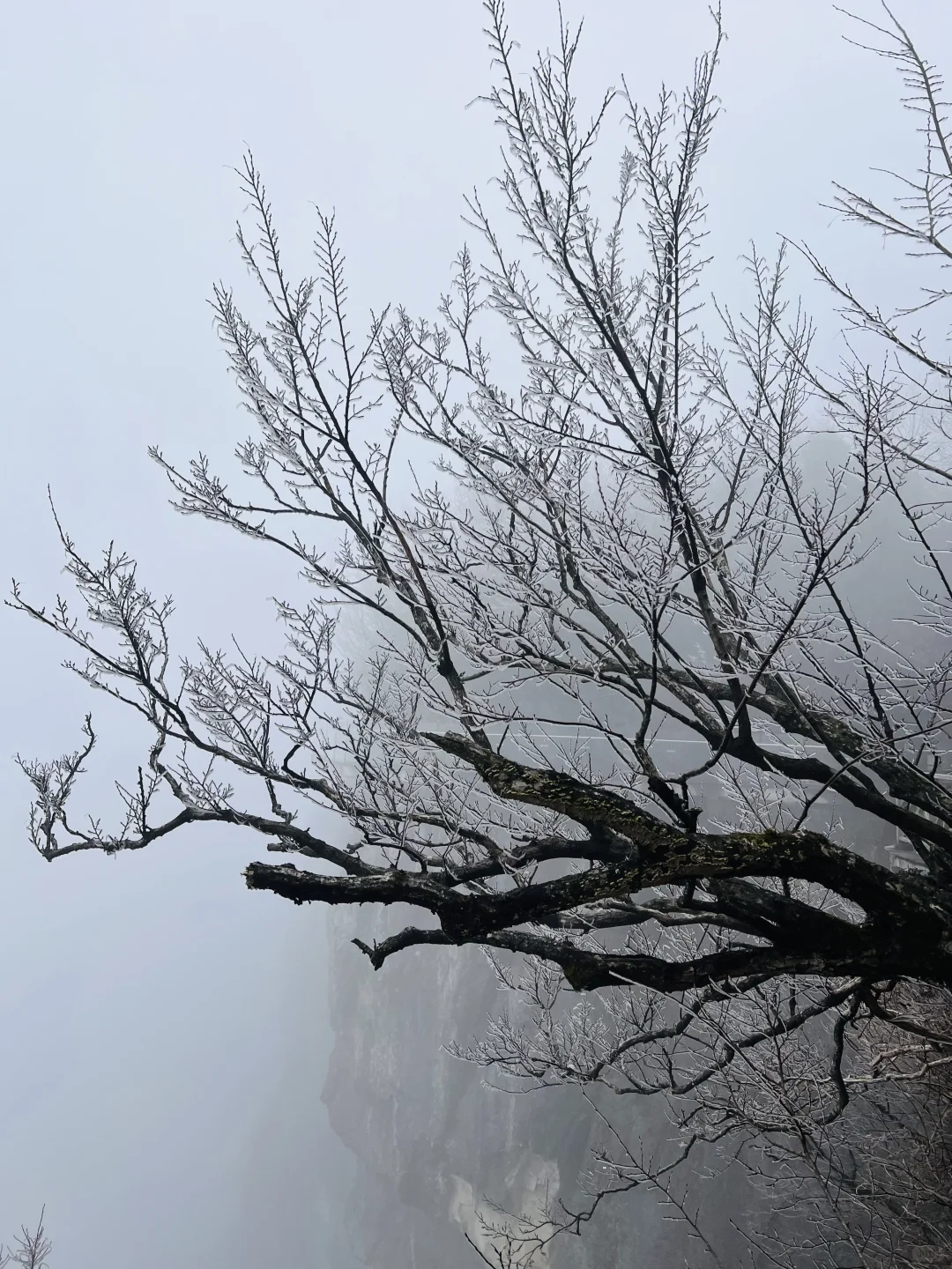 张家界天门山来了，又好像没来