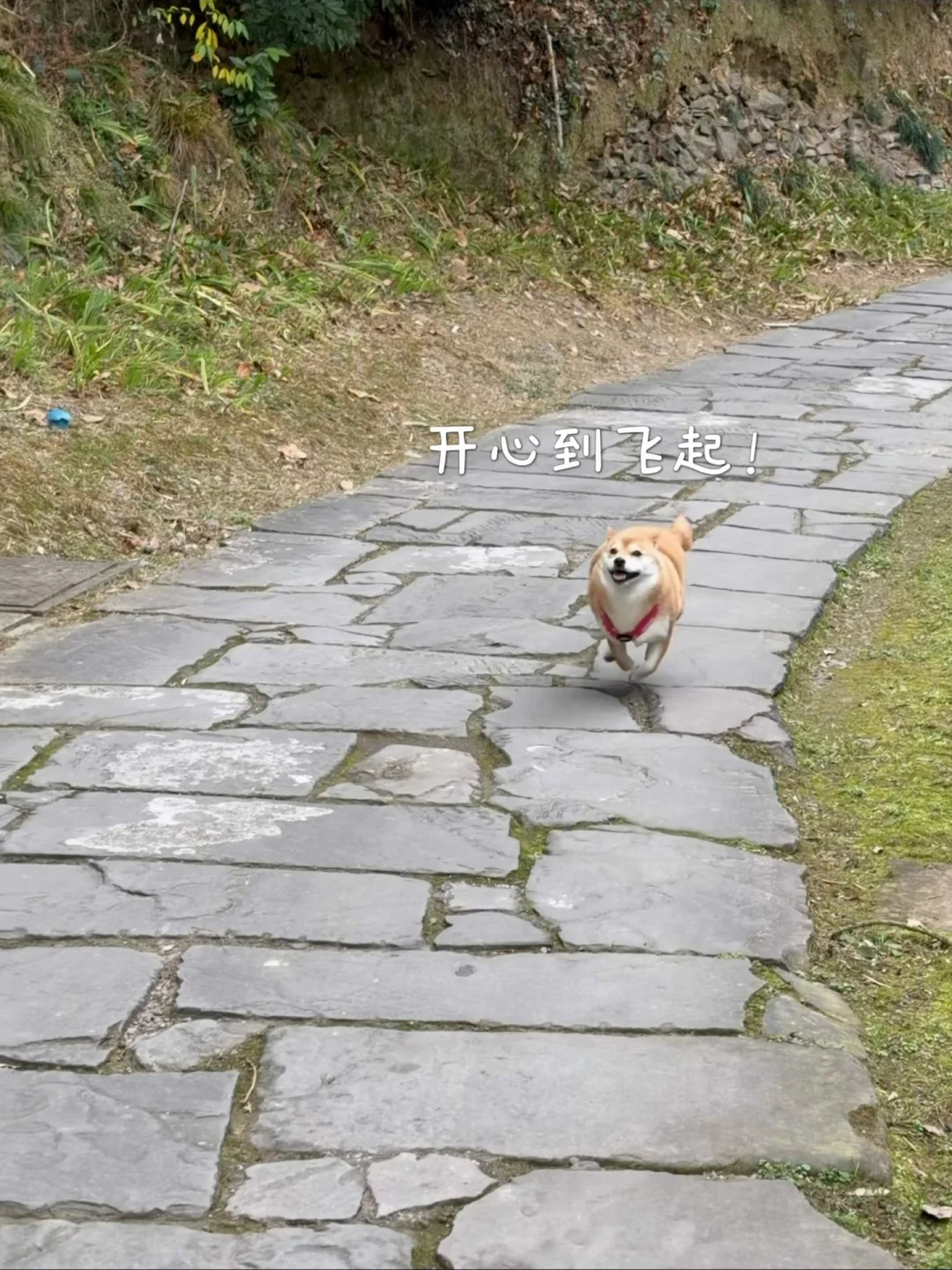 在常德/逃离城市 来世外桃源度过神仙周末🌳