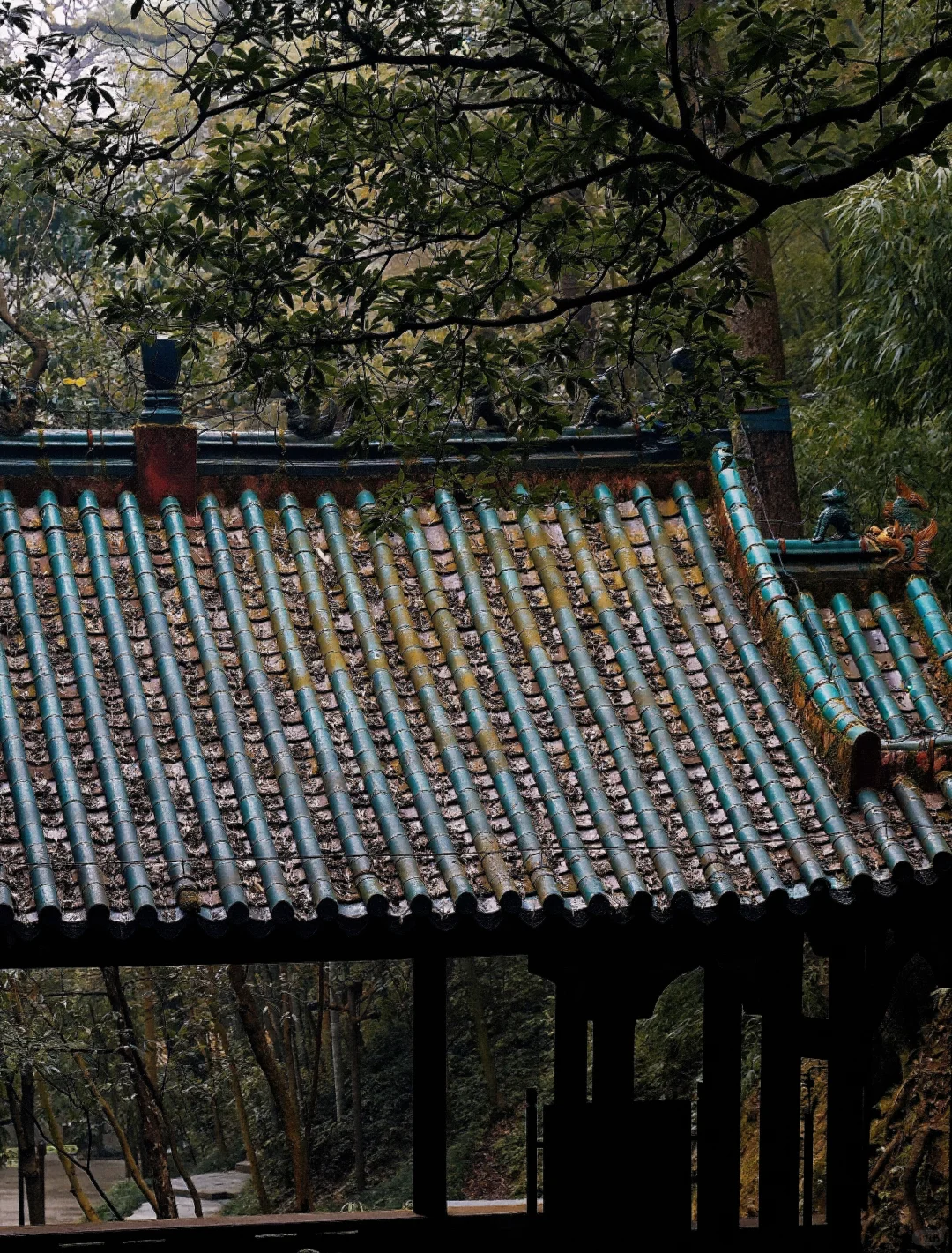 后悔没早点来！这次桃花源记我终于读懂了