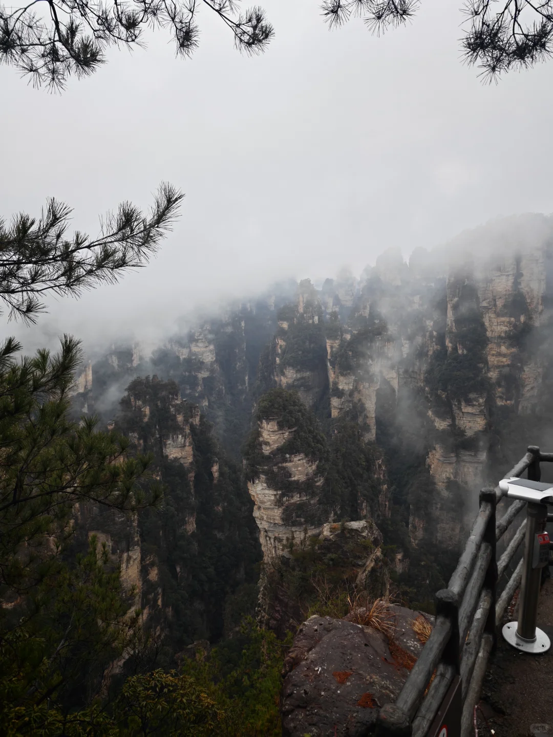 当震撼映入眼帘