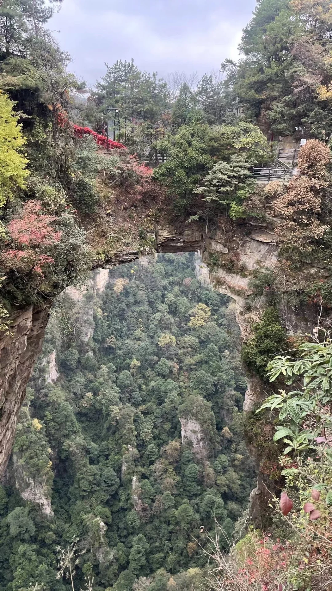 张家界｜不识庐山真面目