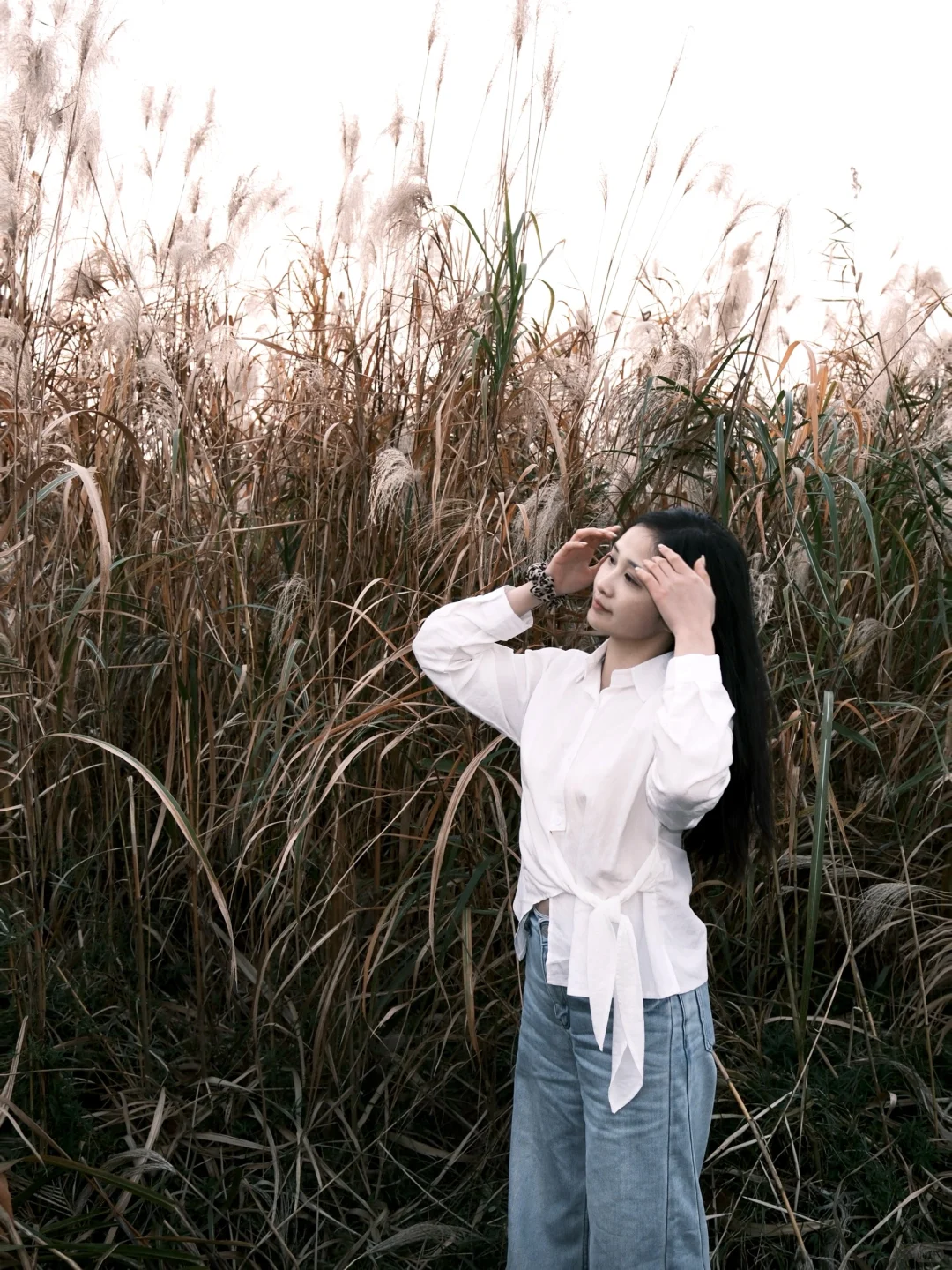 总要来一趟常德沅江吧