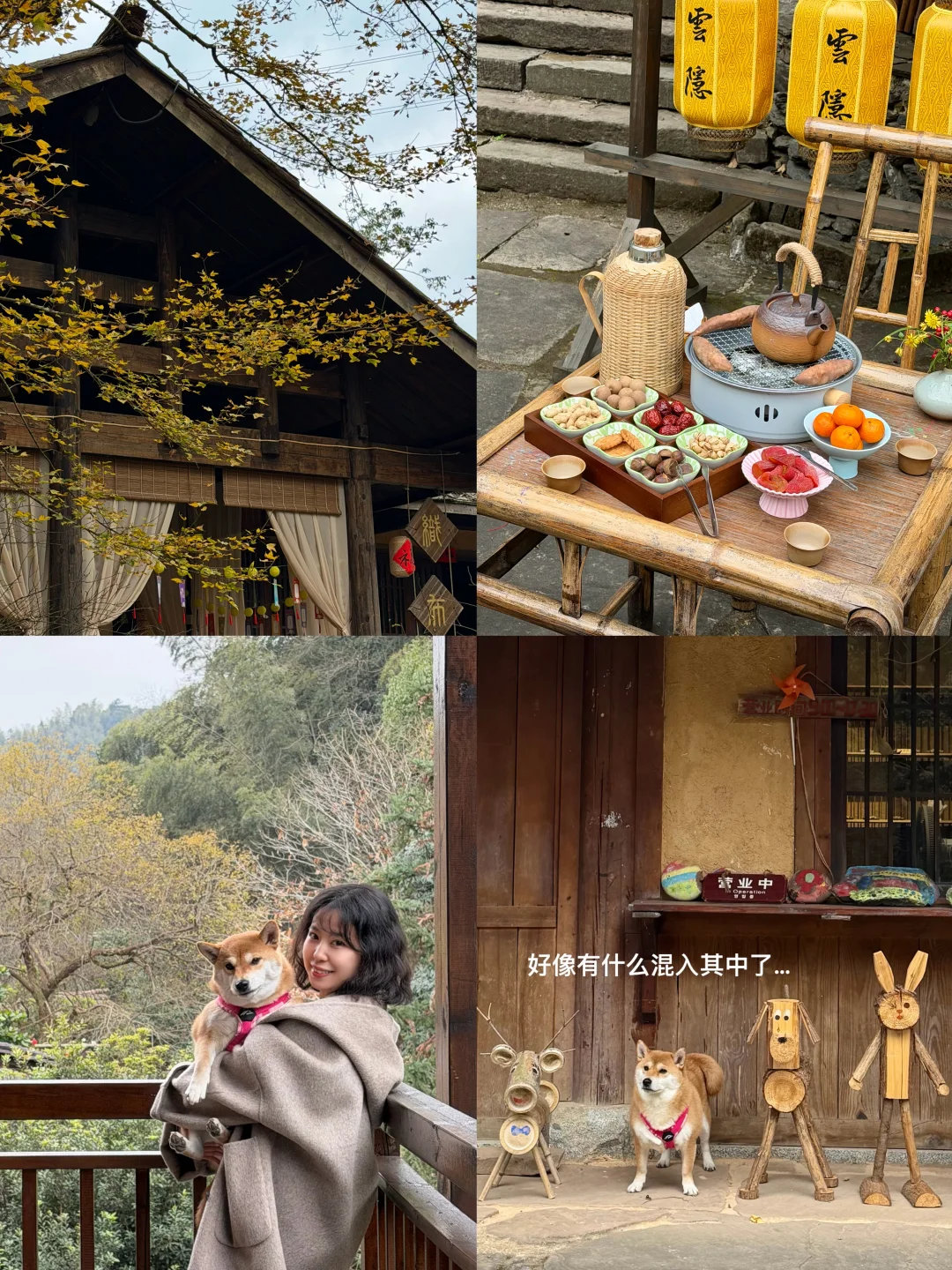 在常德/逃离城市 来世外桃源度过神仙周末🌳