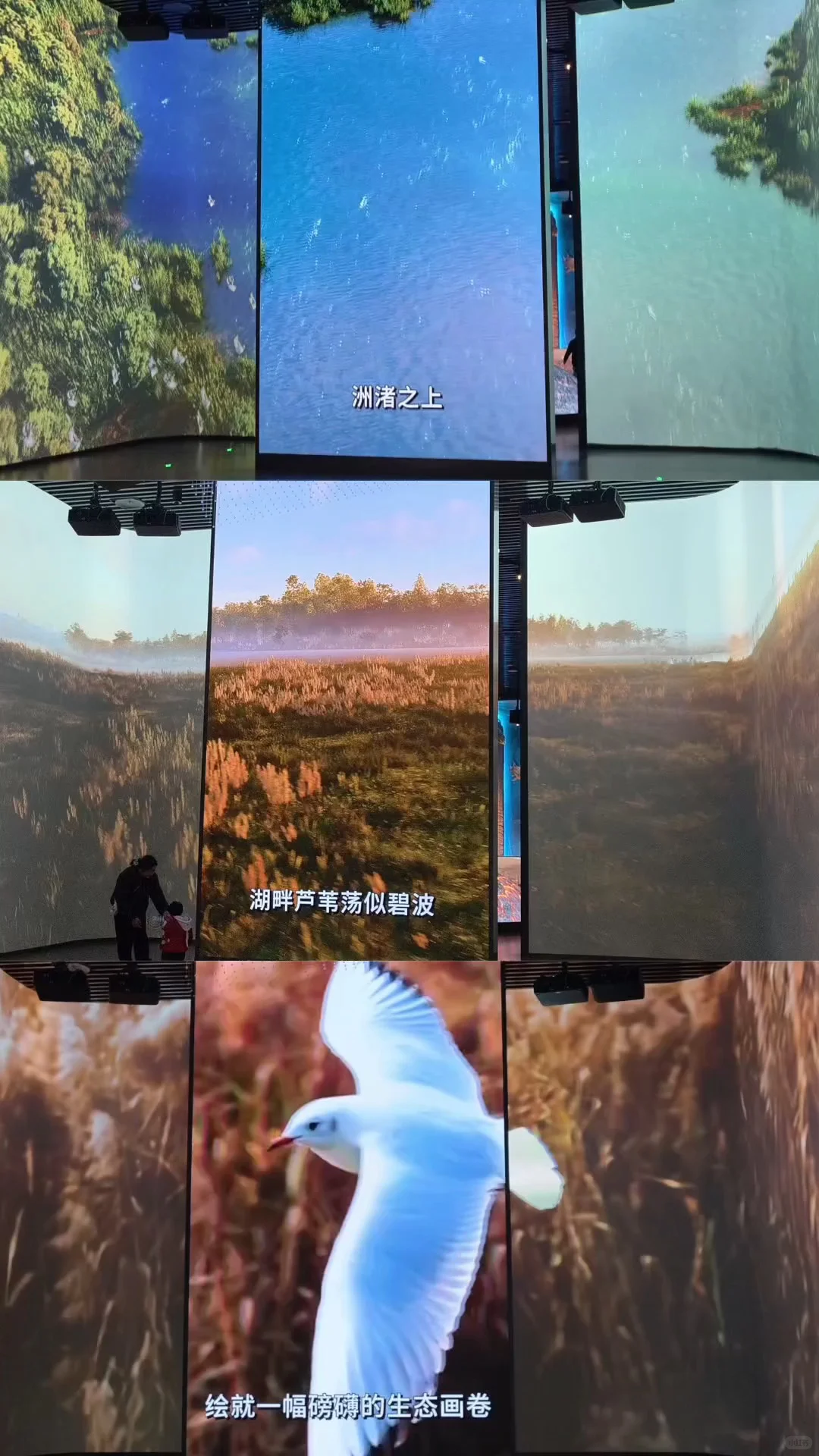 长沙周边度假丨躺平在独栋别墅看湖景听鸟叫