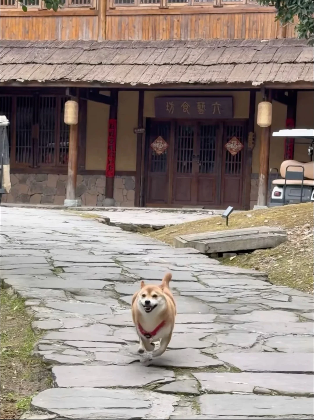 在常德/逃离城市 来世外桃源度过神仙周末🌳