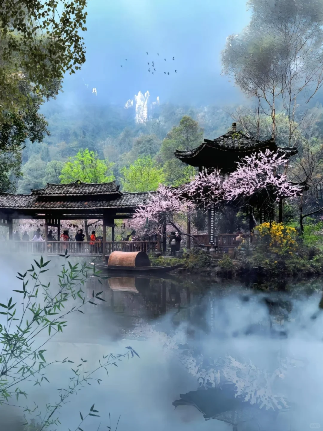 🌸长沙出发1h！常德桃花源小众秘境攻略