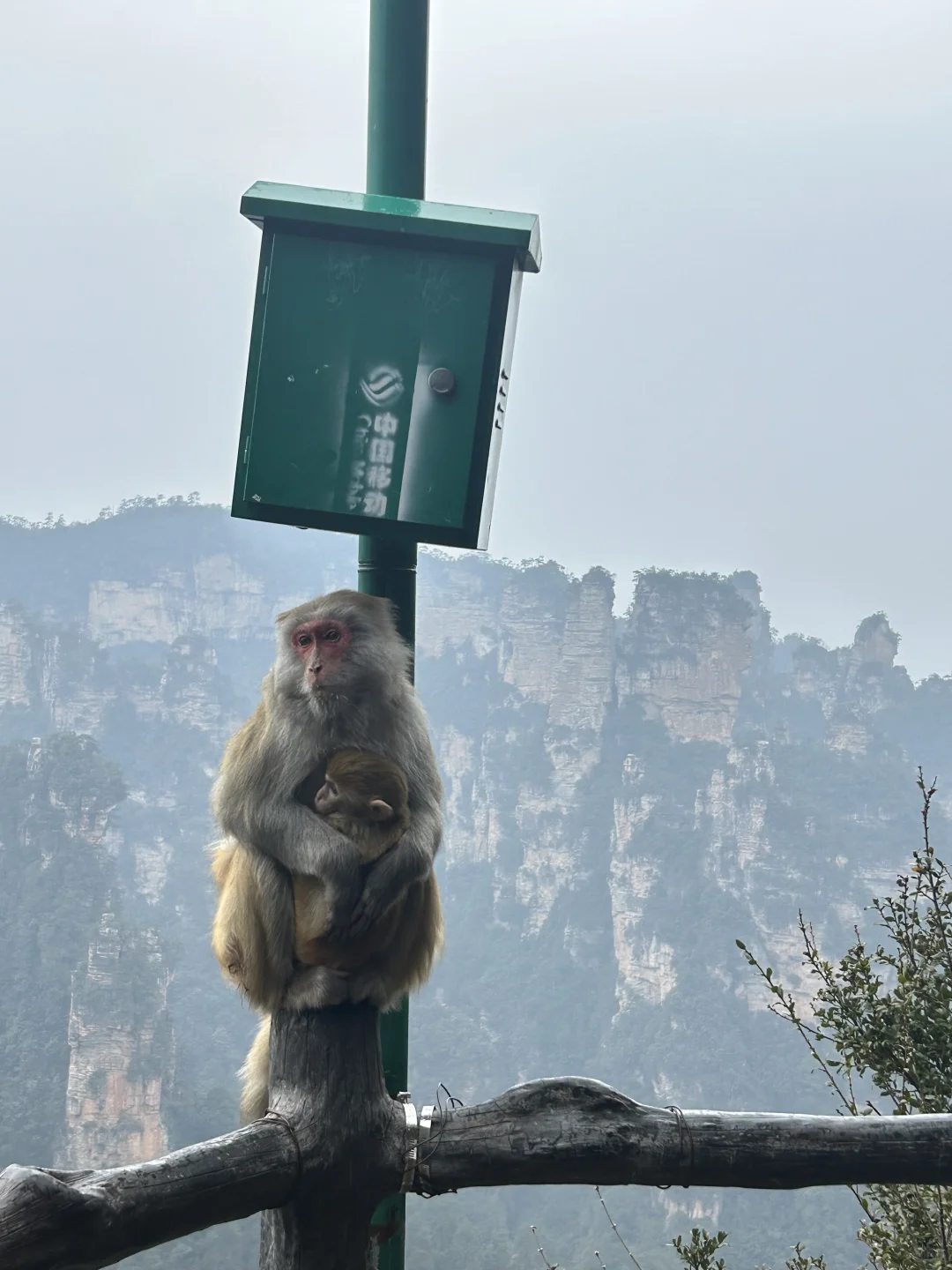淡季的张家界 ⛰️