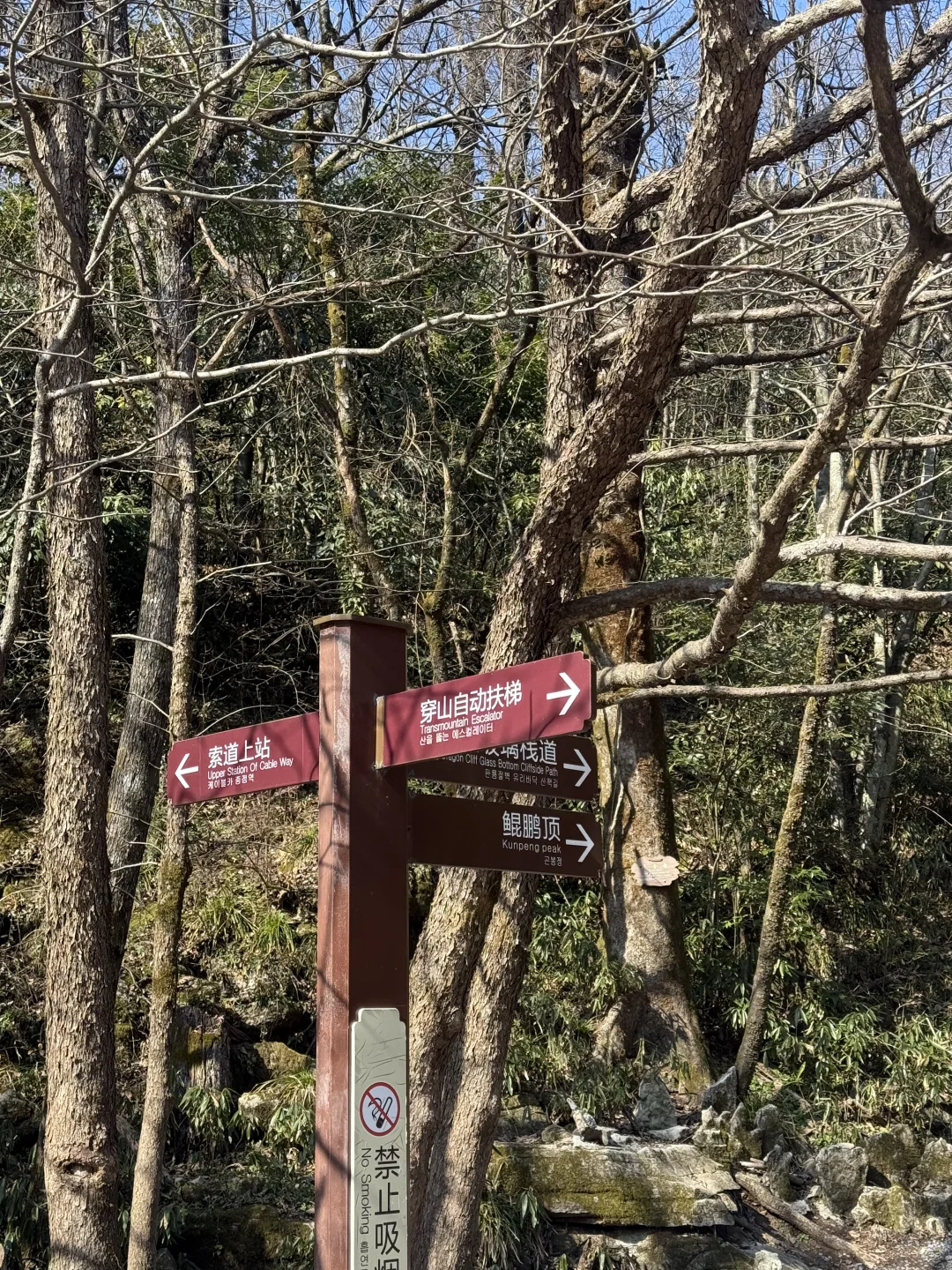 张家界天门山公园这两个地方不要去！！