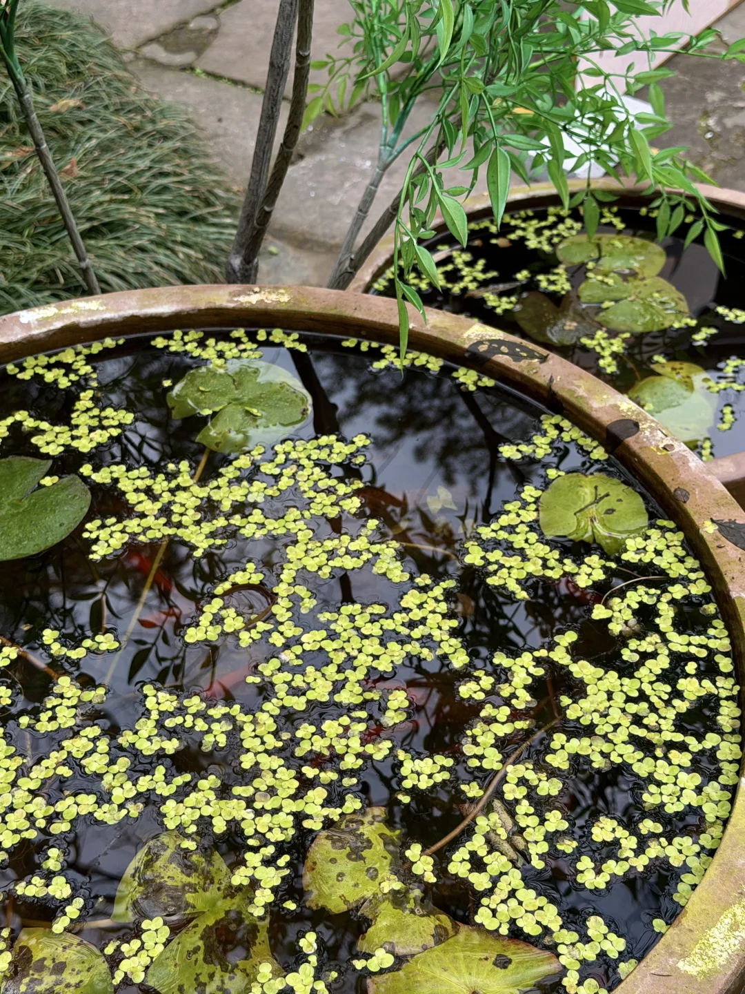 在常德/逃离城市 来世外桃源度过神仙周末🌳