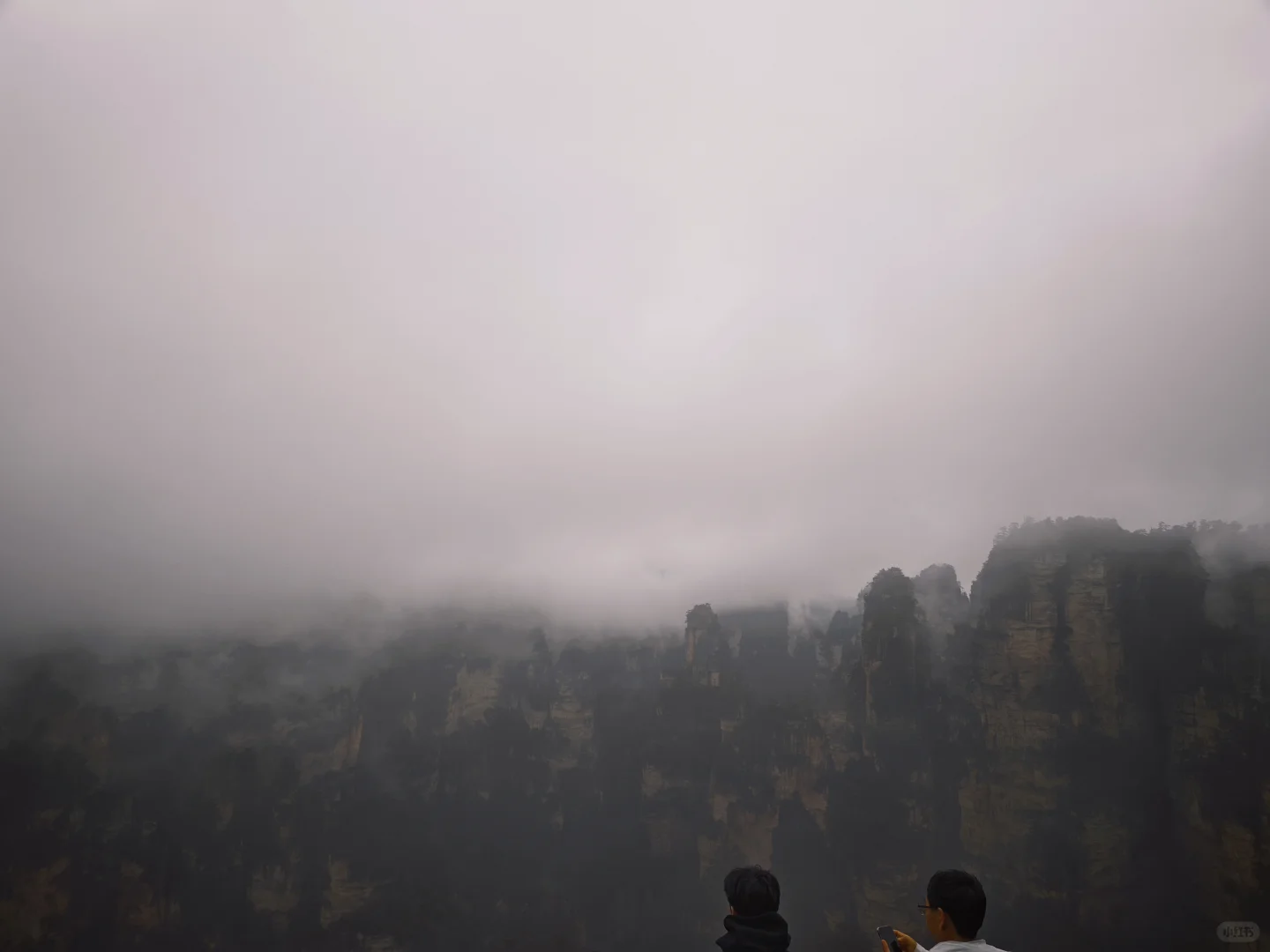 当震撼映入眼帘