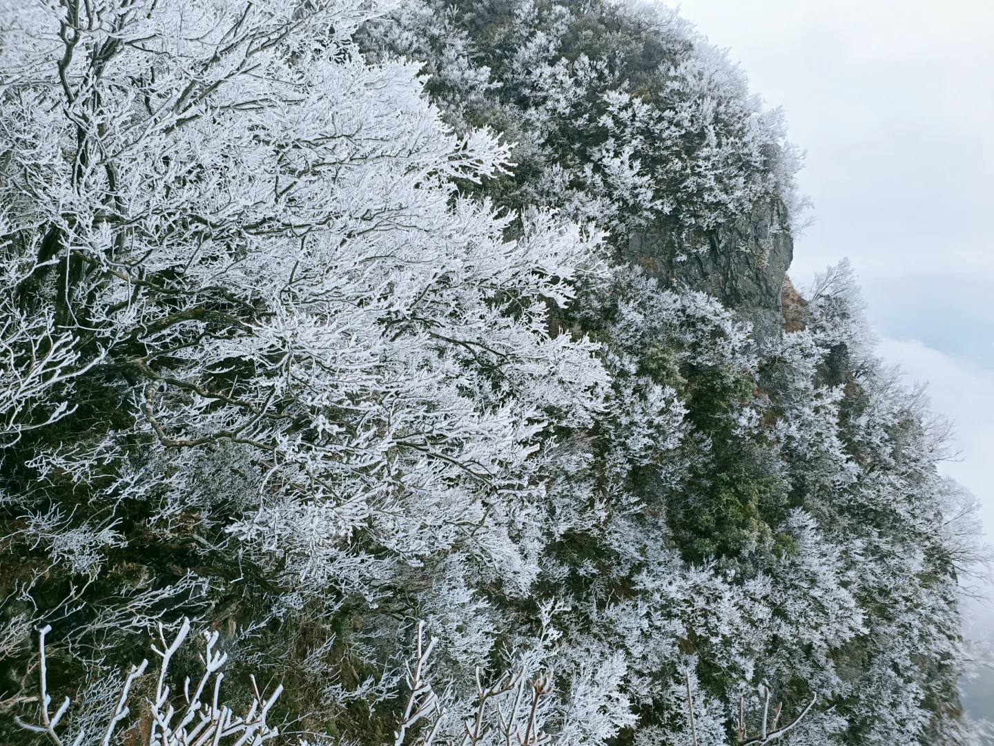 天门山今天有一点雾凇