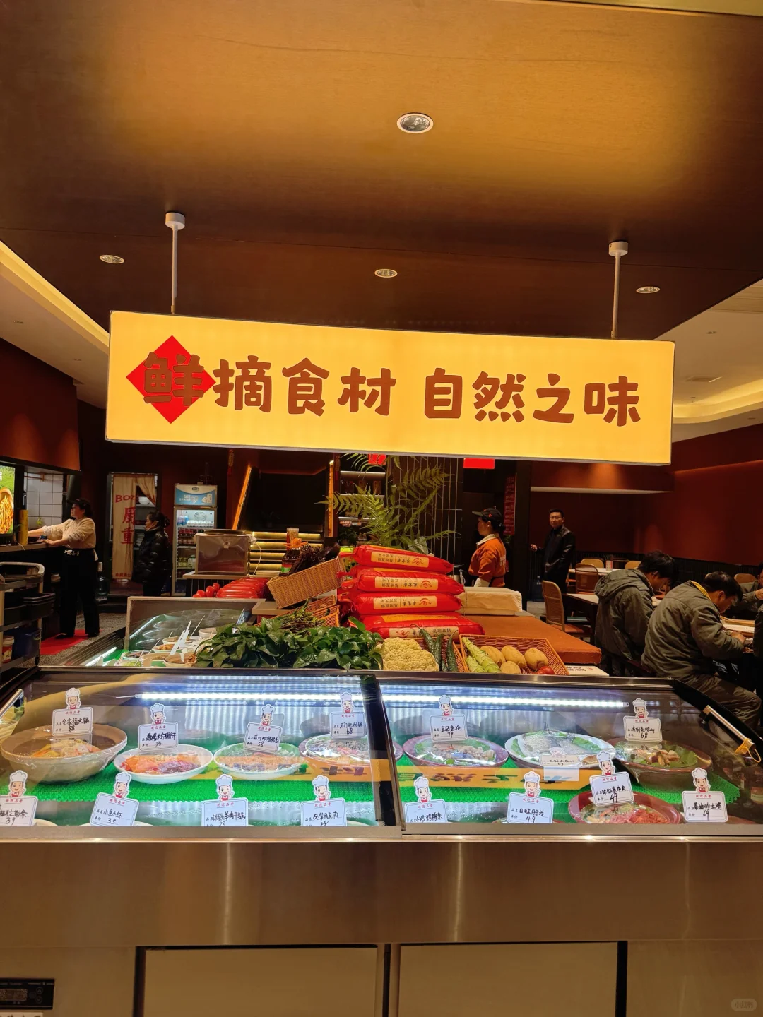 甲鱼喂鸡+肥肠钵！怀化这家常德菜绝了🥺