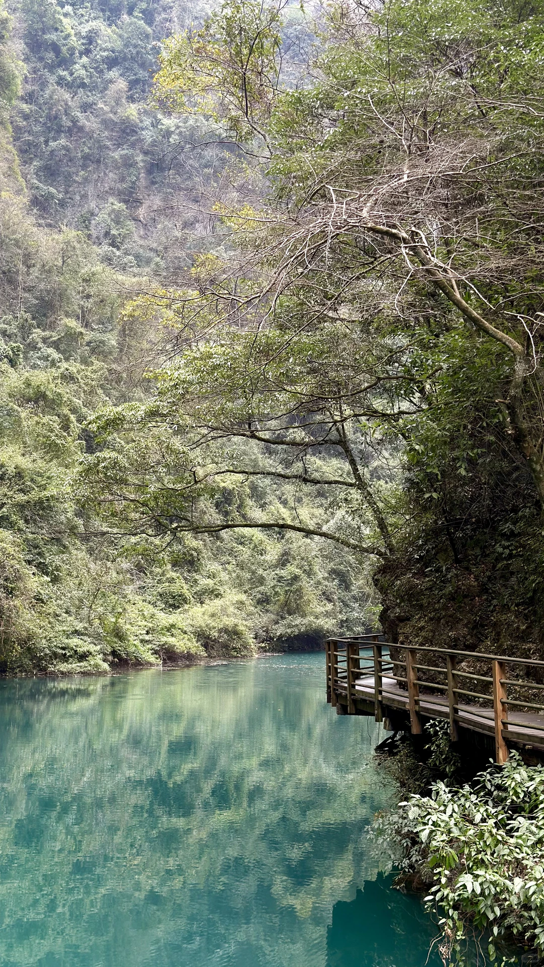 张家界的高山劝退“恐高症患者”
