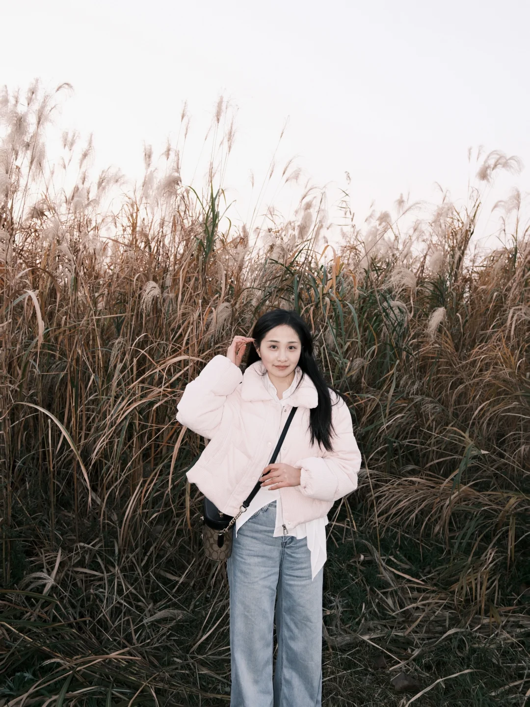 总要来一趟常德沅江吧