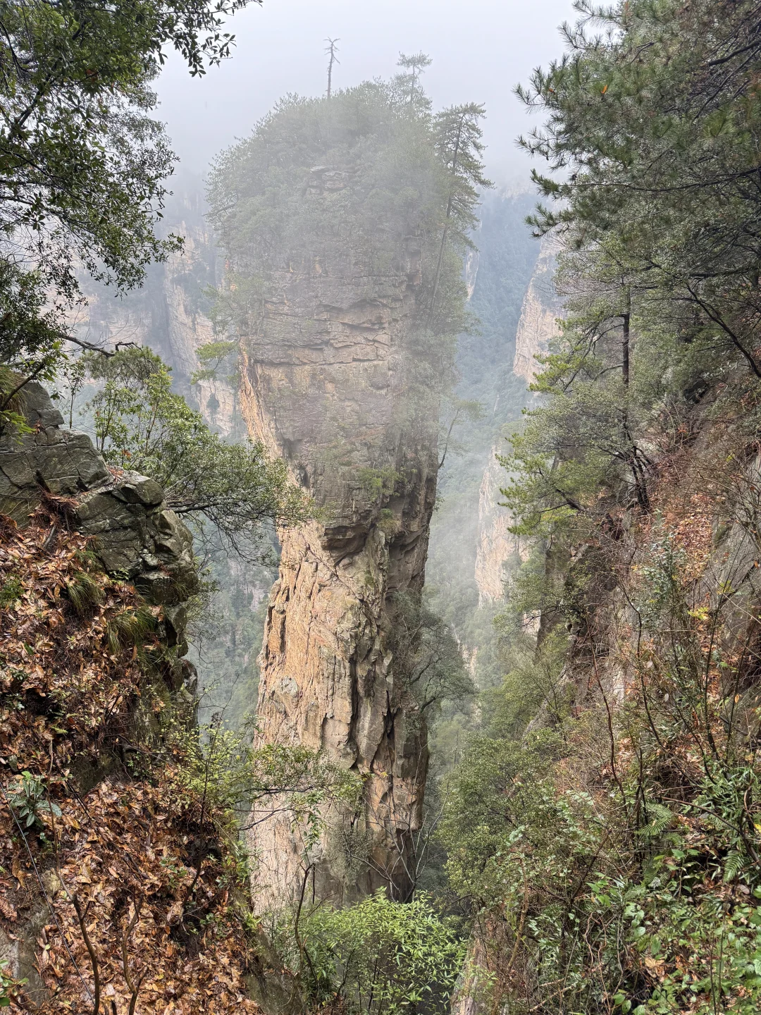 張家界國家森林公園#2