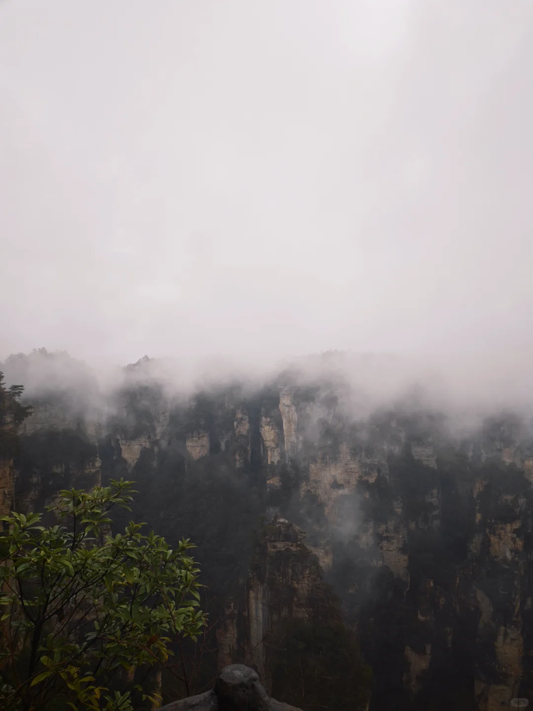 当震撼映入眼帘