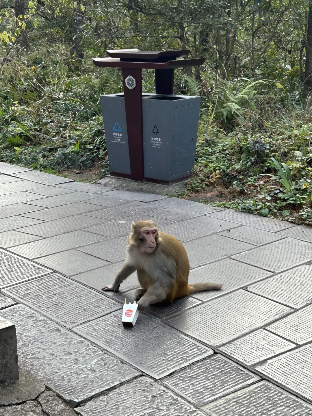 淡季的张家界 ⛰️