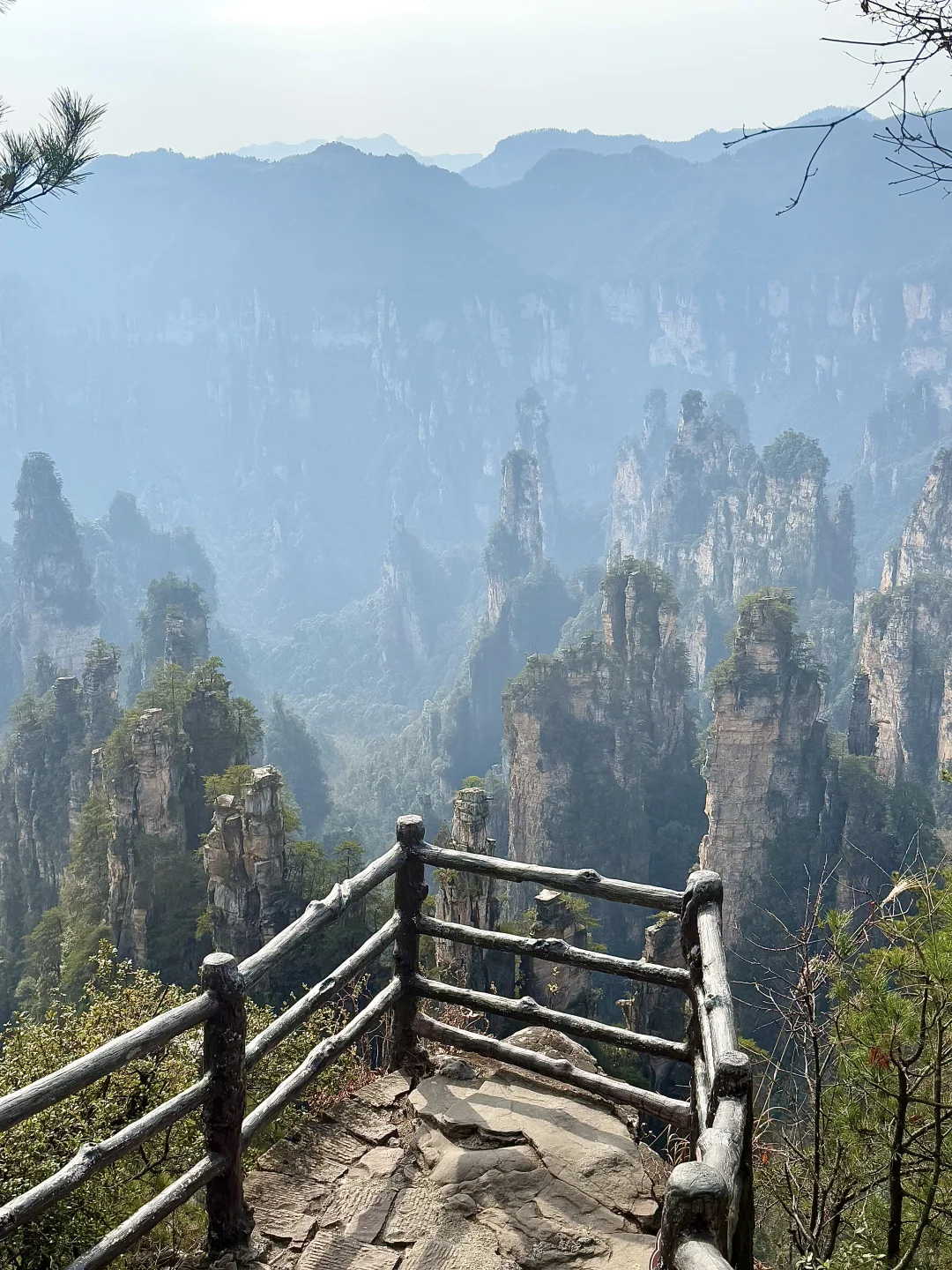 📍𝐙𝐡𝐚𝐧𝐠 𝐉𝐢𝐚 𝐉𝐢𝐞