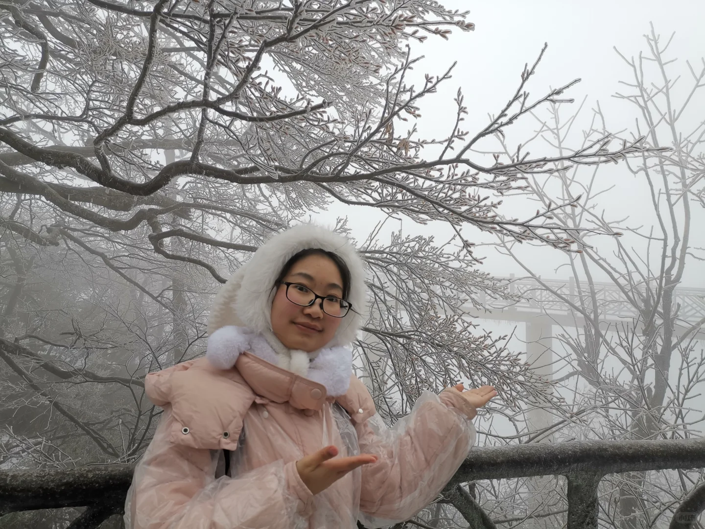 今年三月的天门山