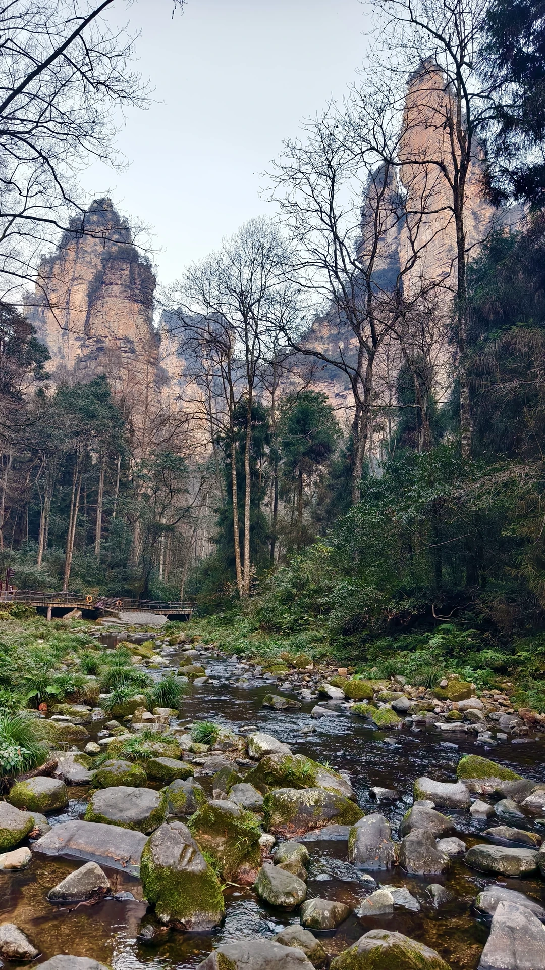 周末牛马|长沙＋天门山＋张家界＋凤凰古城