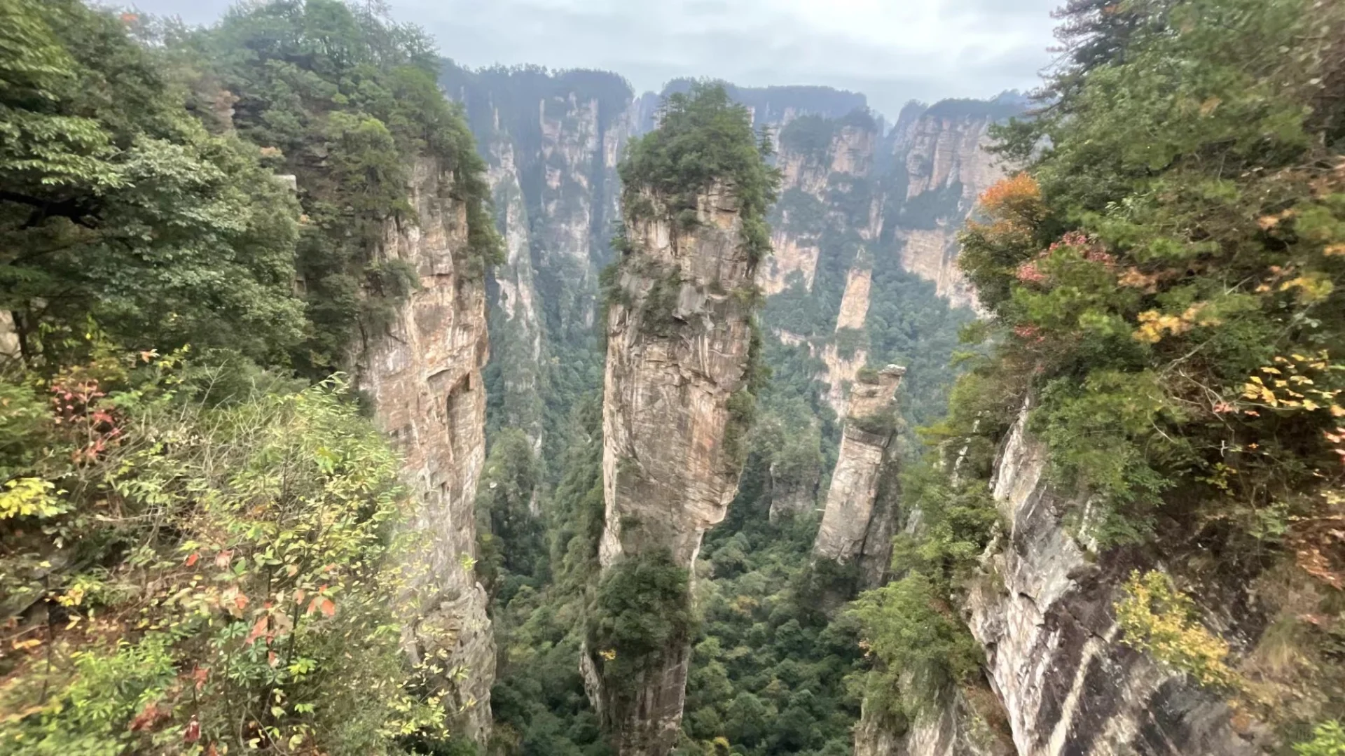 张家界｜不识庐山真面目