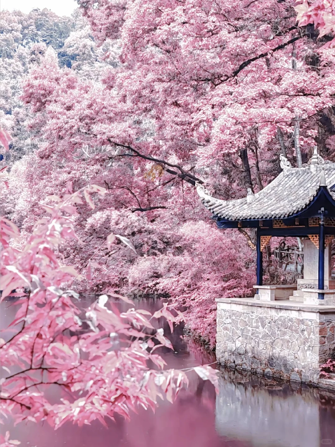 🌸长沙出发1h！常德桃花源小众秘境攻略