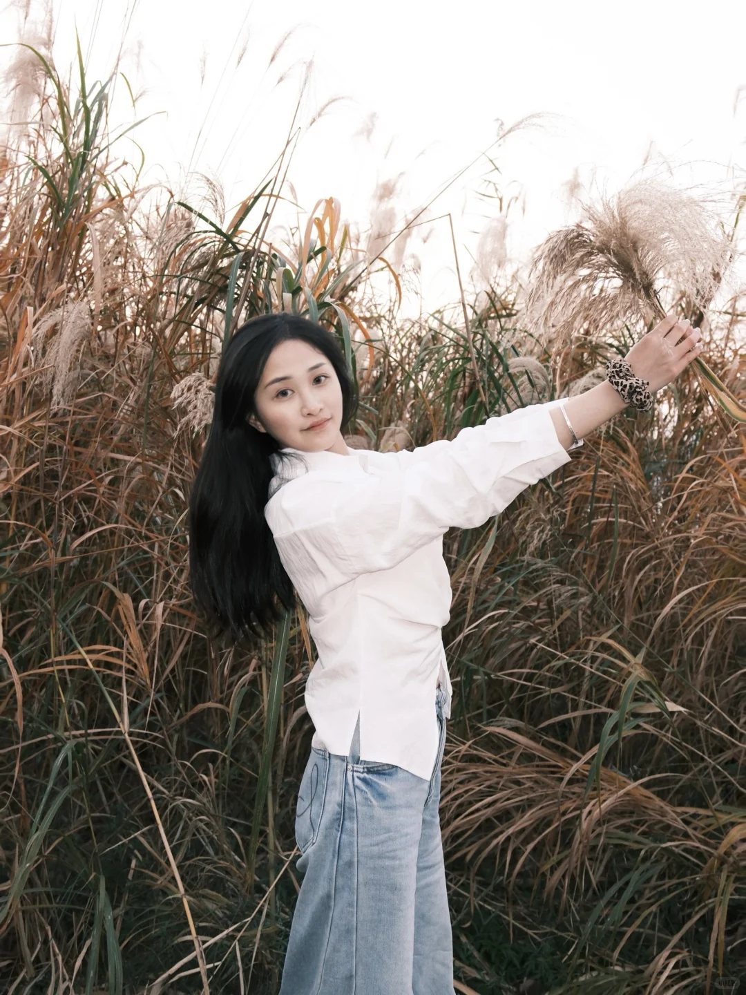 总要来一趟常德沅江吧