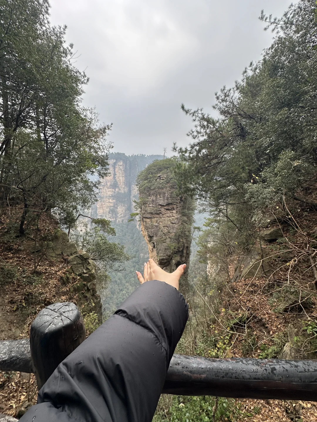 张家界版“小蛮腰”