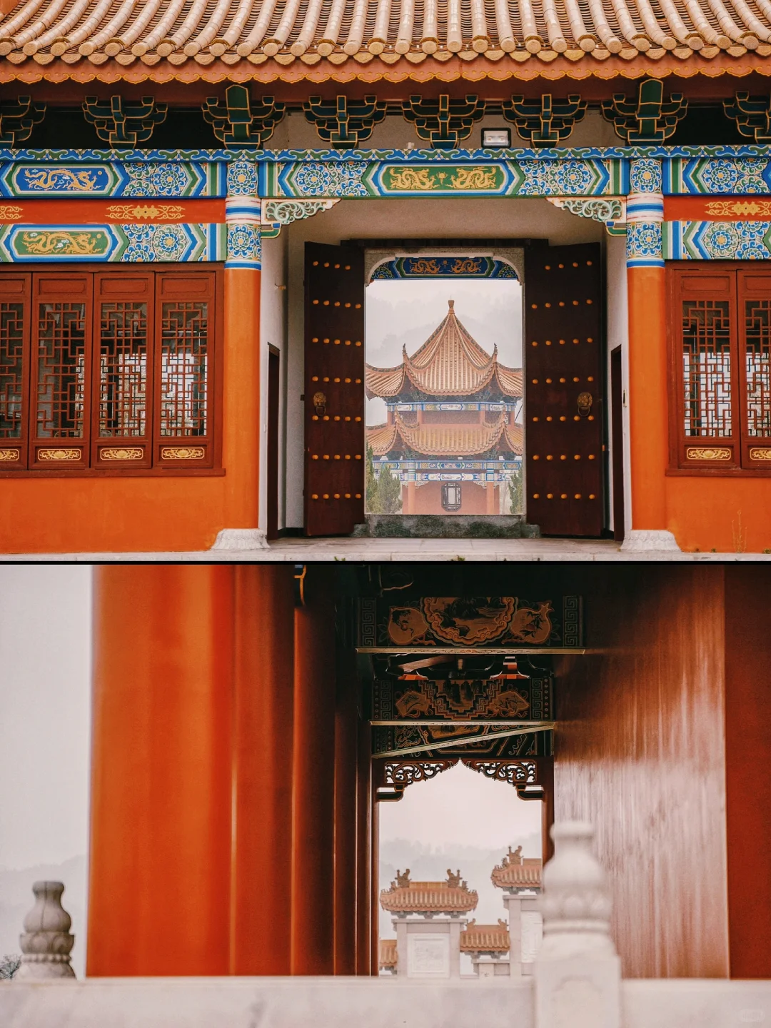 后悔没早点来！这次桃花源记我终于读懂了