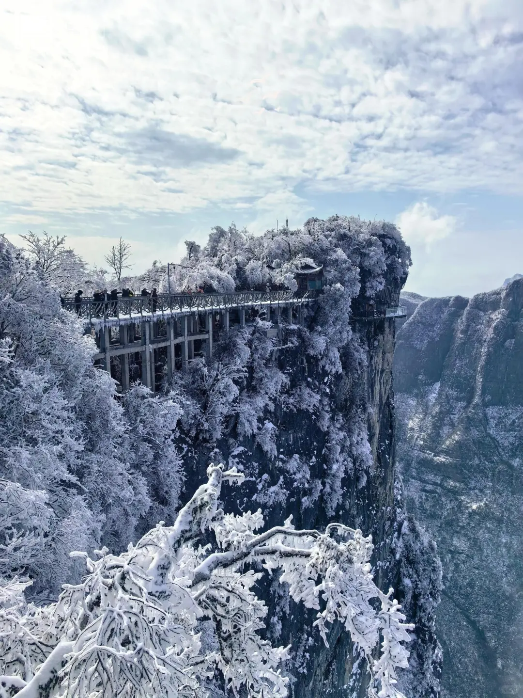 张家界12月-2月看雾凇一定要去