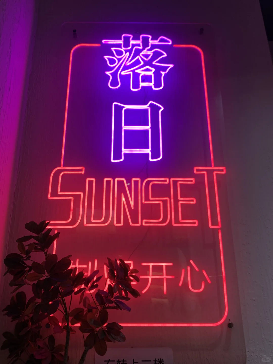 常德独一家！！能吃的圣诞树烧烤🎄