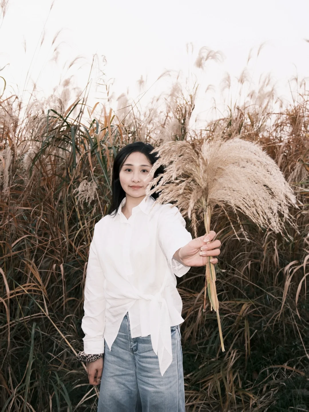 总要来一趟常德沅江吧