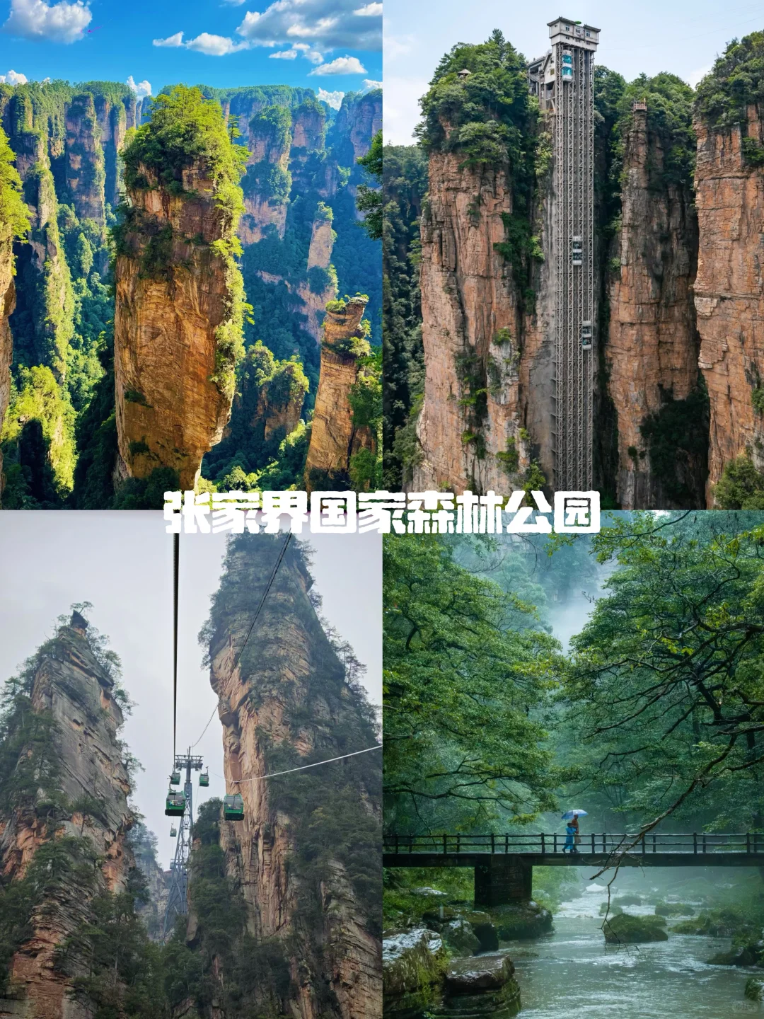 🔥张家界省心品质小团✅解锁神仙旅行体验